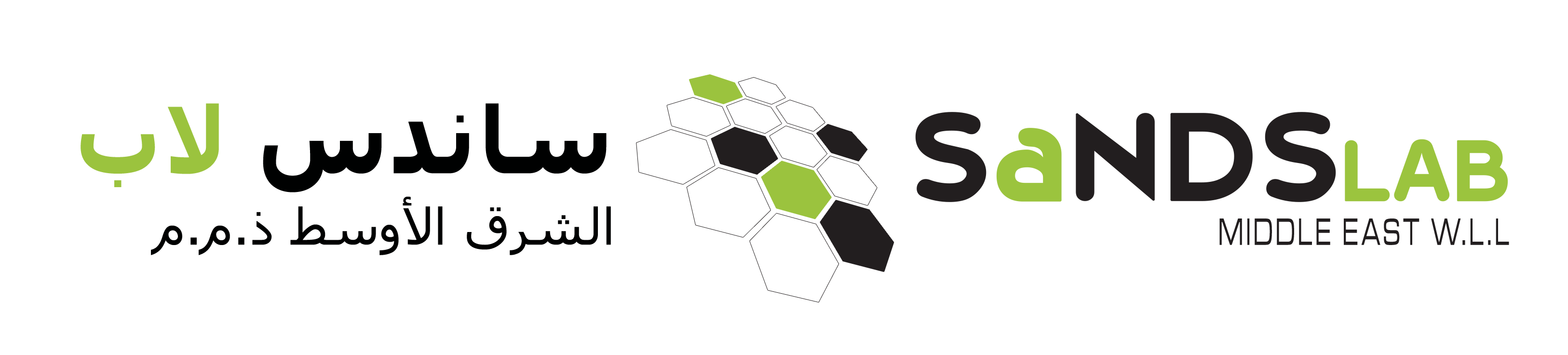 SaNDS Lab Logo